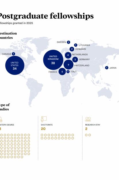 Fellowships granted and type of studies during the 2025 call.