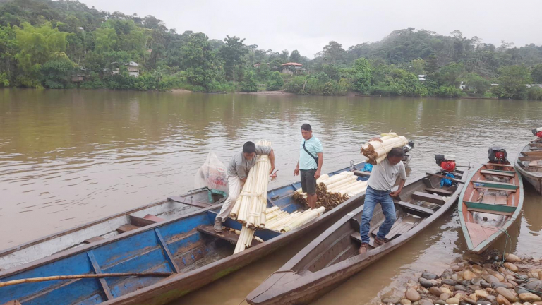 Transportation of banana stem for the production of biofibers.