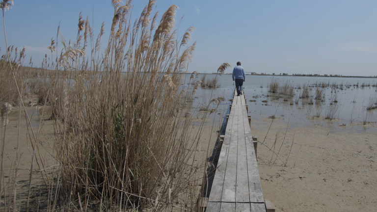 Imagen del impacto del cambio climático en el Delta del Ebro.