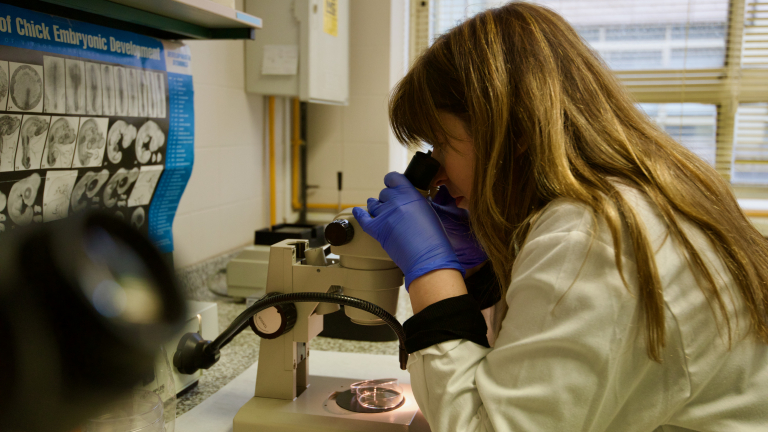 Analuce Canha analizando muestras en el laboratorio. 
