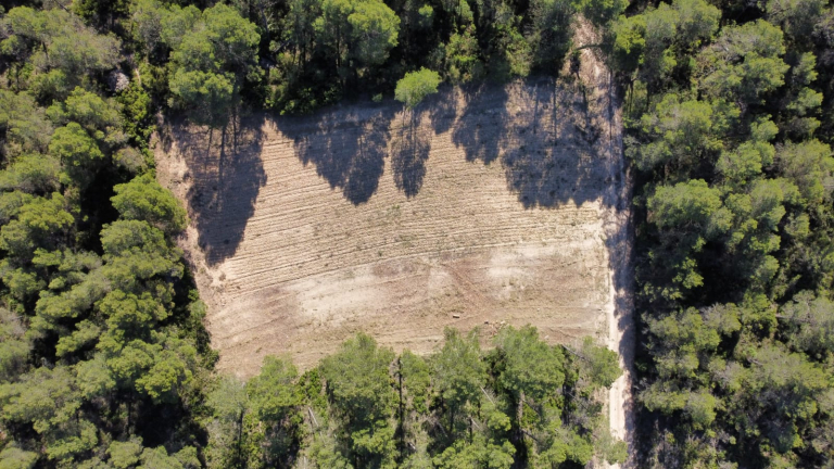 Un bancal recuperado a vista de dron.