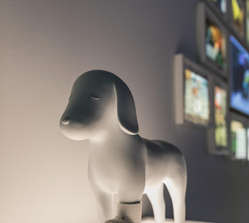 Prótesis impresas en 3D para animales.