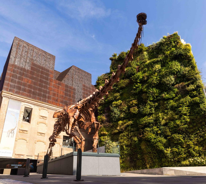 The Patagotitan majorum is exhibited in front of the vertical garden of CaixaForum Madrid.