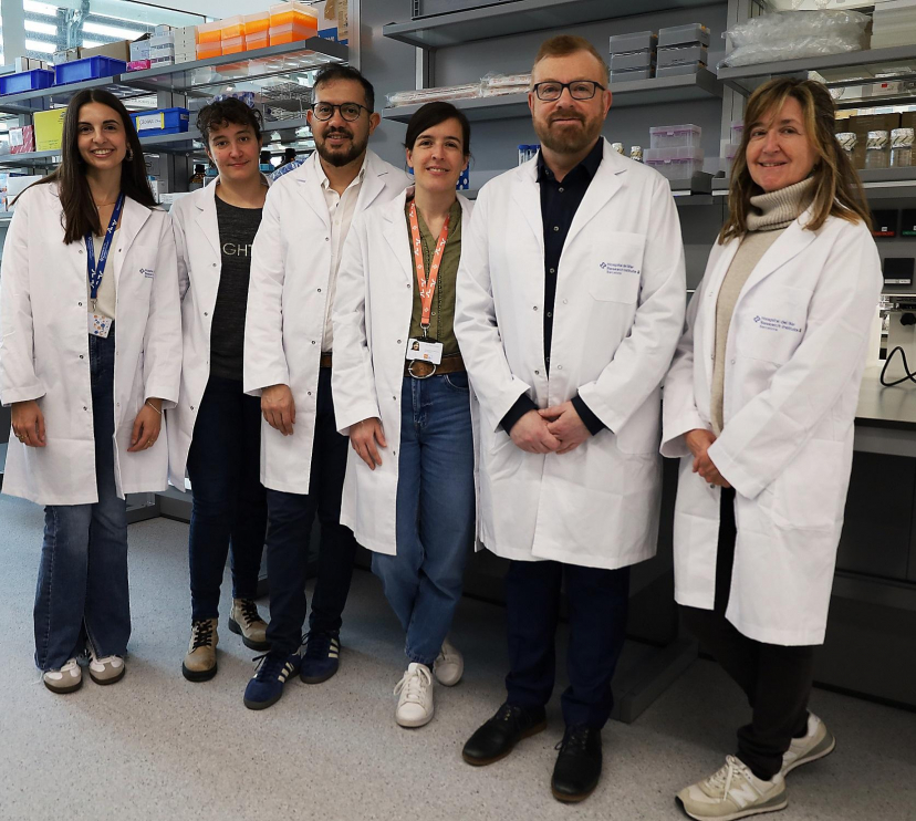 The team of researchers who conducted the investigation, including Gabriel Rabinovich and Pilar Navarro, on the right of the image.
