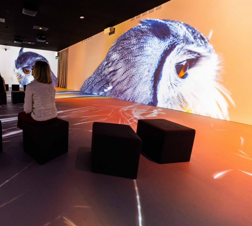 El tercer ámbito de la exposición habla de la recuperación de la naturaleza.