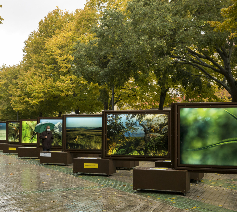 La exposición presenta 52 imágenes de gran belleza sobre los diversos espacios naturales de la Tierra del Ártico a la Antártida con un denominador común: concienciar sobre la importancia de la conservación de estas zonas únicas del planeta.