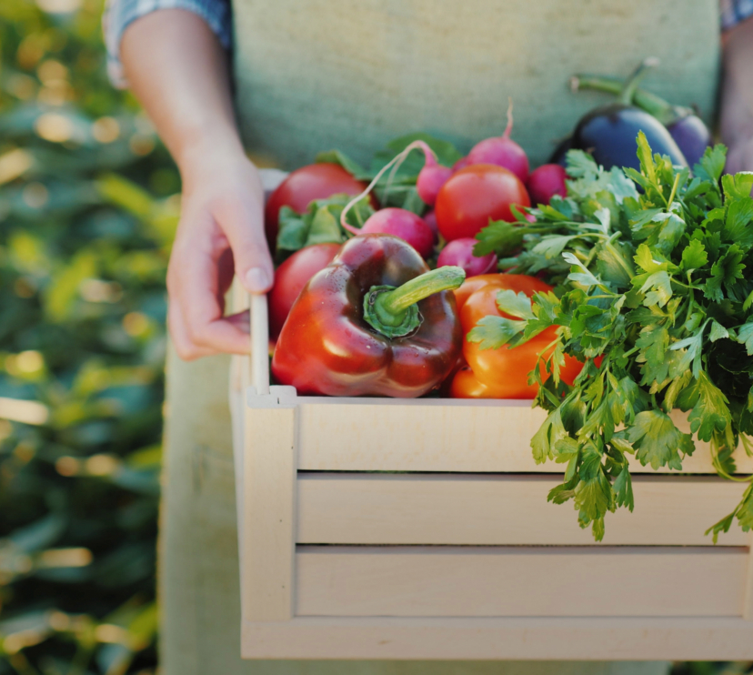 El método puede objetivar los patrones dietéticos de los niños estudiados. © Shutterstock StockMediaSeller.