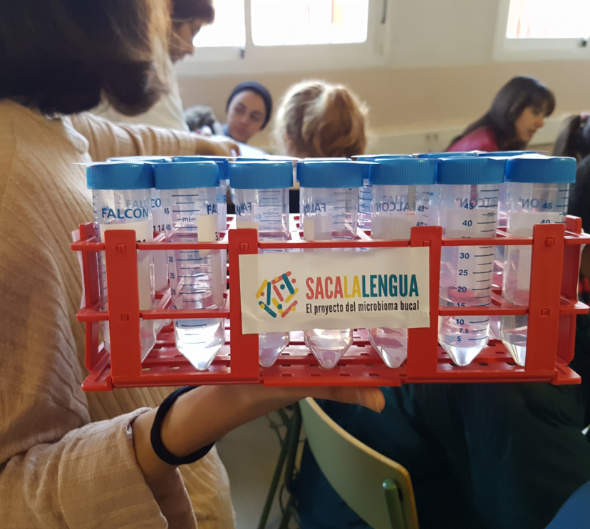 Recollida de mostres en col·legis per al primer estudi mundial que retrata com canvia la diversitat del microbioma oral amb l’edat.