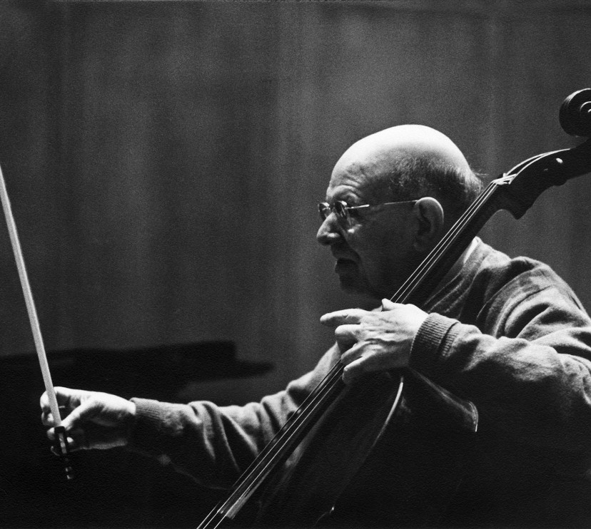 Nou canal: Fundació Pau Casals.