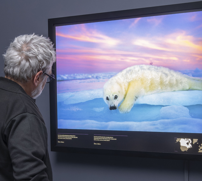 Un visitante observa una de las instantáneas de Colores del mundo en CaixaForum València.