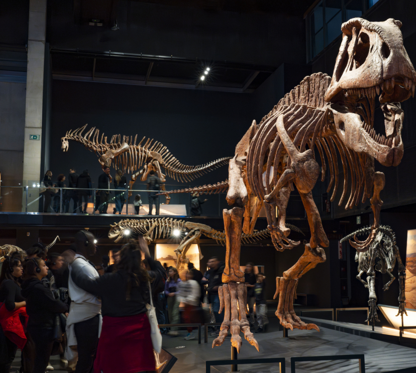 Exposición Dinosaurios de la Patagonia en el Museo de la Ciencia CosmoCaixa, en Barcelona.