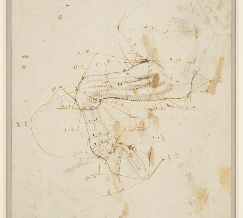 Dibujo de la parte delantera de un caballo. Hacia 1490-92. Dibujos de Leonardo da Vinci. Plomo, pluma y tinta. Royal Collection Trust.