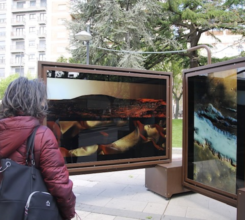 "Otros mundos. Viaje por el sistema solar de la mano de Michael Benson" forma parte del programa Arte en la calle, a través del cual la Fundación ”la Caixa” quiere aproximar la ciencia y la cultura a las personas fuera del marco habitual de museos y salas de exposiciones.