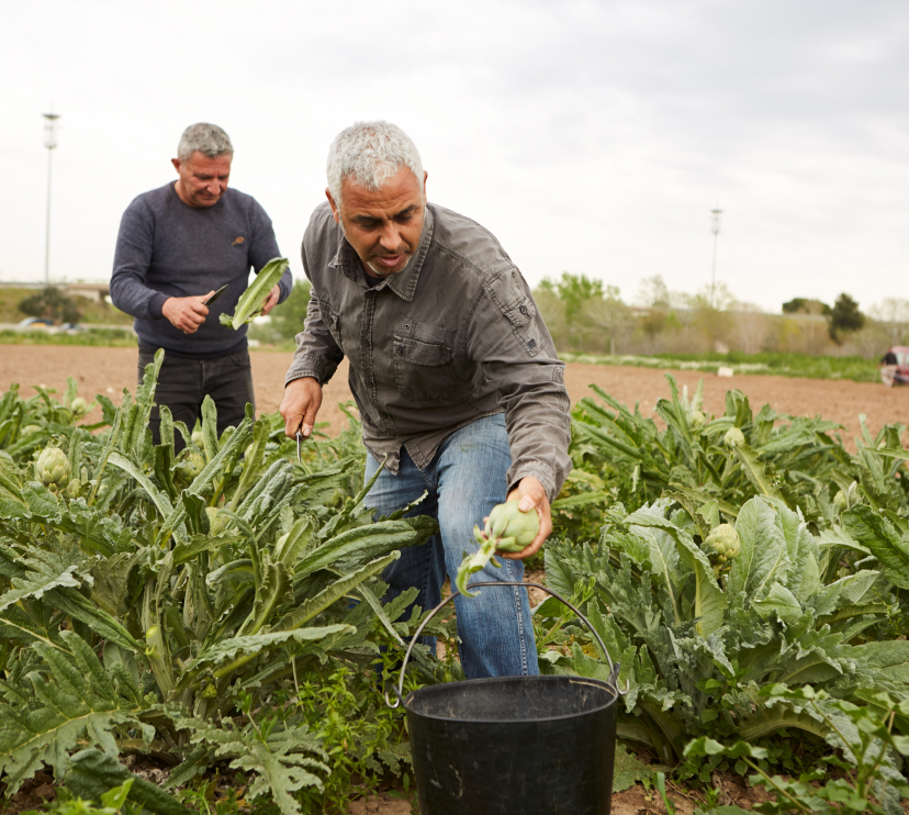 El número de proyectos presentados en la convocatoria de Acción Social en el Ámbito Rural ha experimentado un crecimiento del 40%.