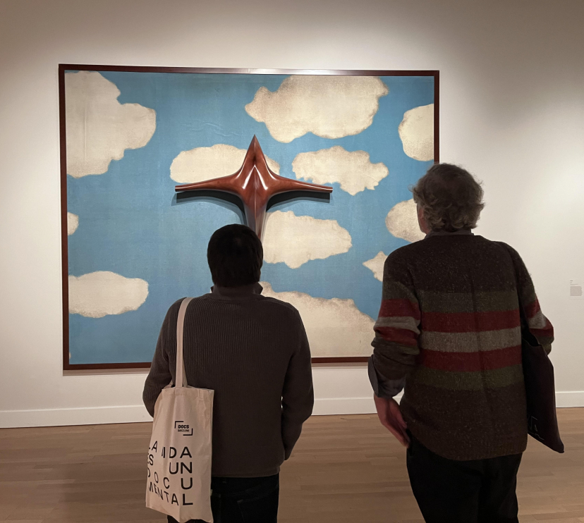 Two visitors observe one of the works in the exhibition The Reappearing Image at the Musée d'Art et d'Histoire (MAH).