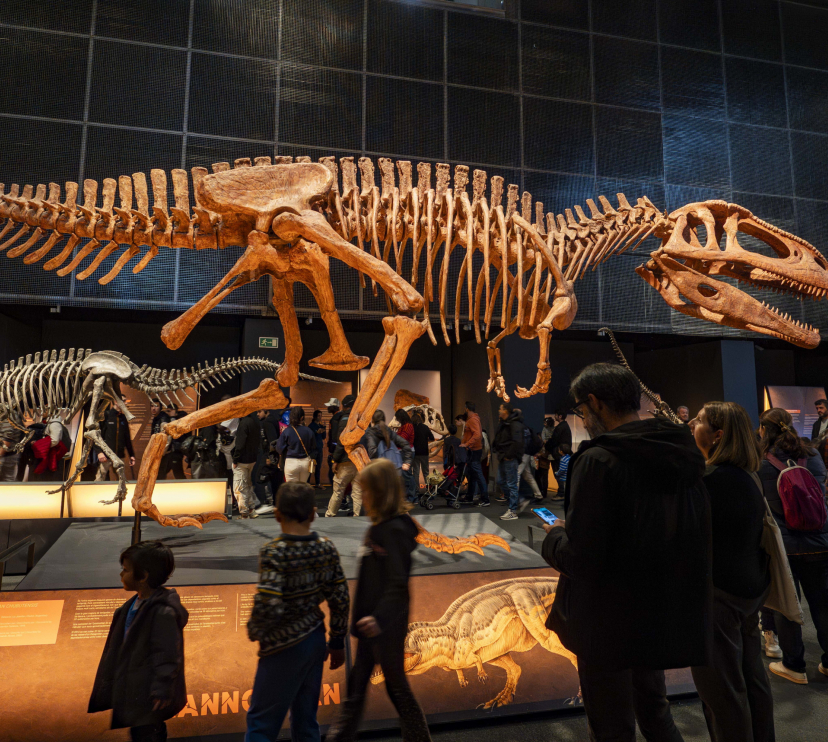 Visitantes disfrutando de la exposición  «Dinosaurios de la Patagonia»