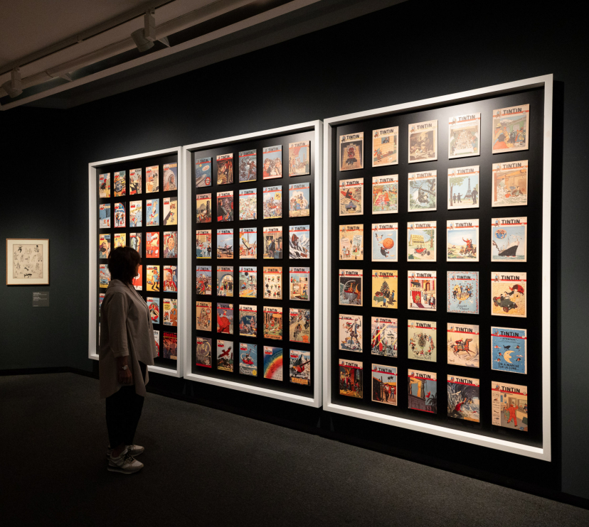 Un visitant admira algunes de les diverses obres de l'exposició «Còmic. Somnis i història».