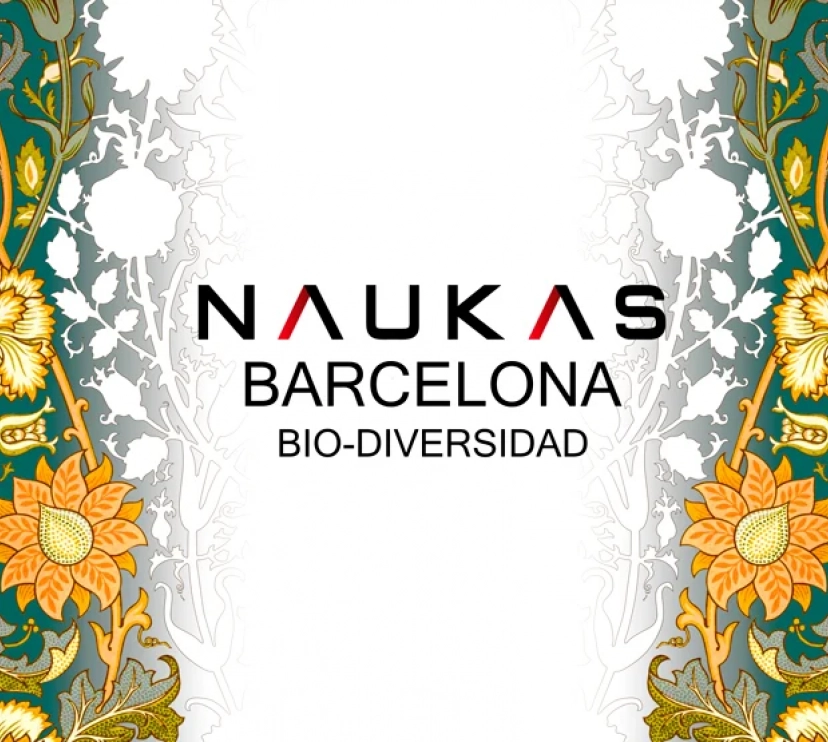Pòster de la primera edició de Naukas a Cosmocaixa.