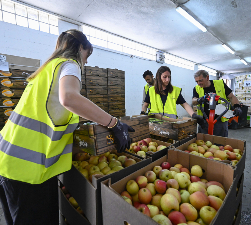 Recogida de alimentos en el almacén para distribuir a los bancos de alimentos