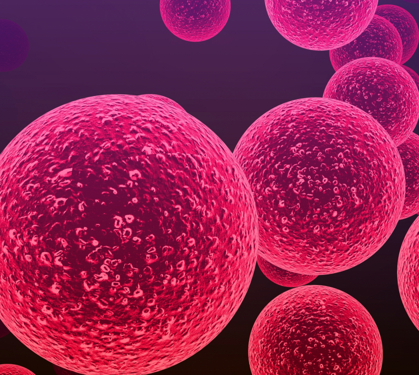 Bacteris del gènere Streptococcus responsables de la meningitis i altres malalties infeccioses greus.