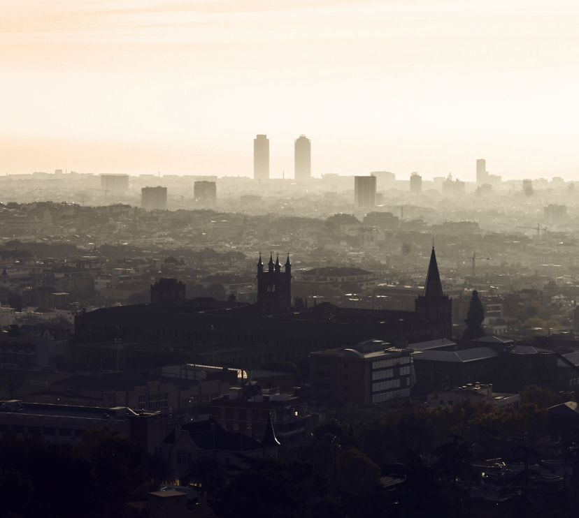 Vista de la ciutat de Barcelona des de la muntanya de Collserola.