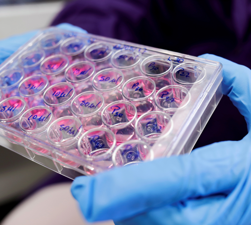 stock image of laboratory equipment.