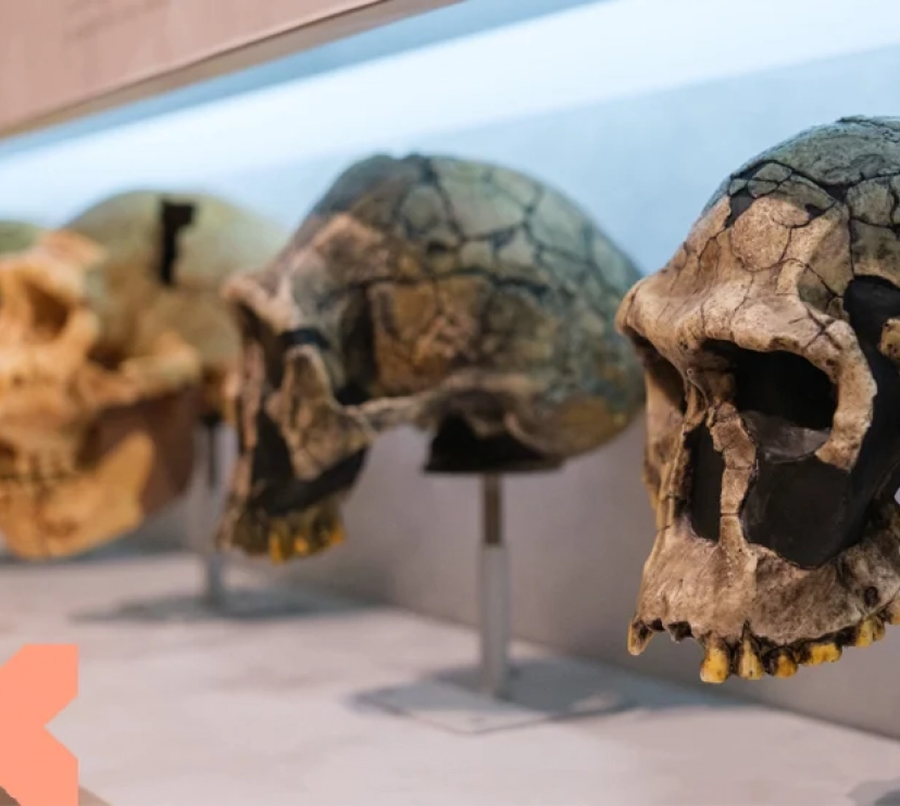 Imatge de la conferència Paleoantropologia de la xenofòbia, al Palau Macaya.