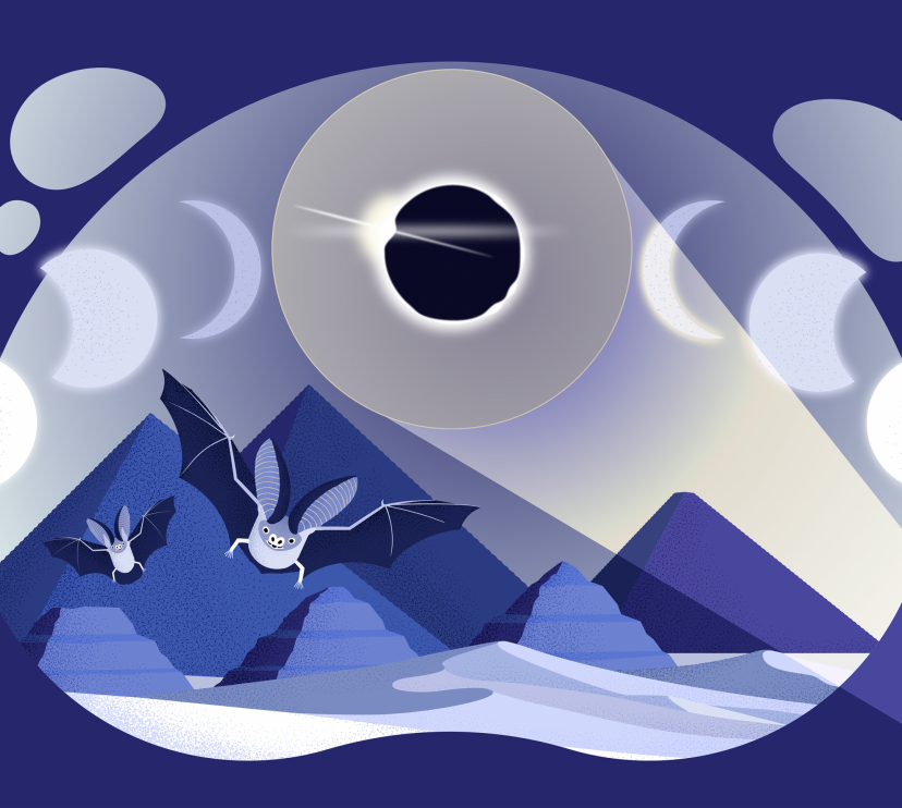 Il·lustració d´un eclipsi total de sol.
