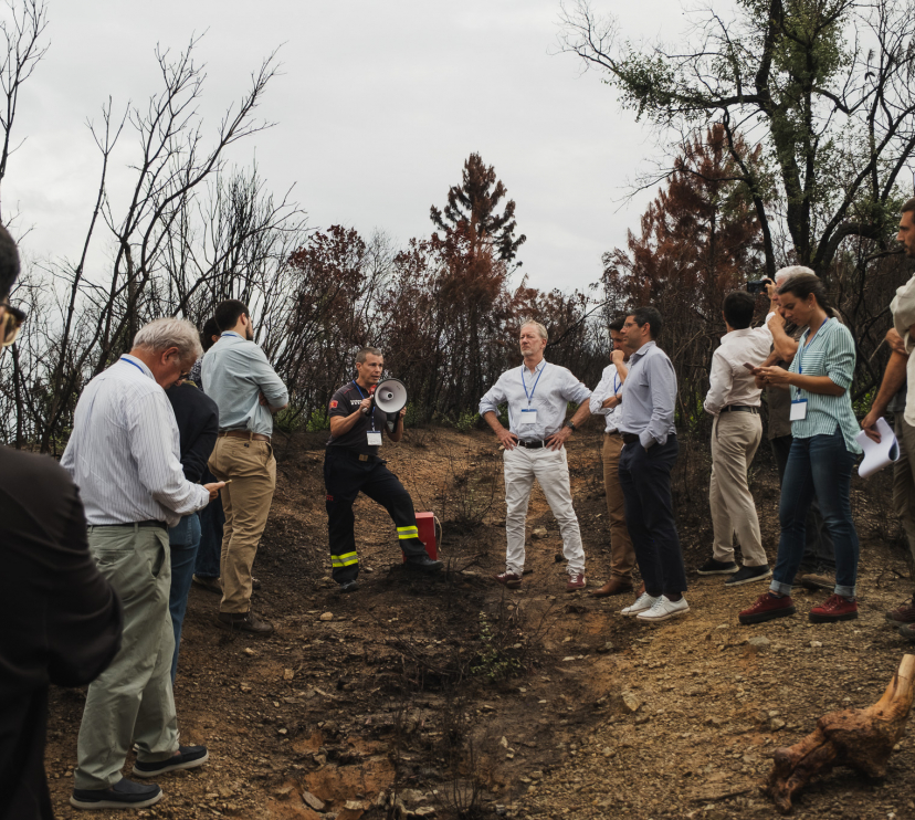 Visita a una de les zones afectades per l'incendi de Les Gavarres.