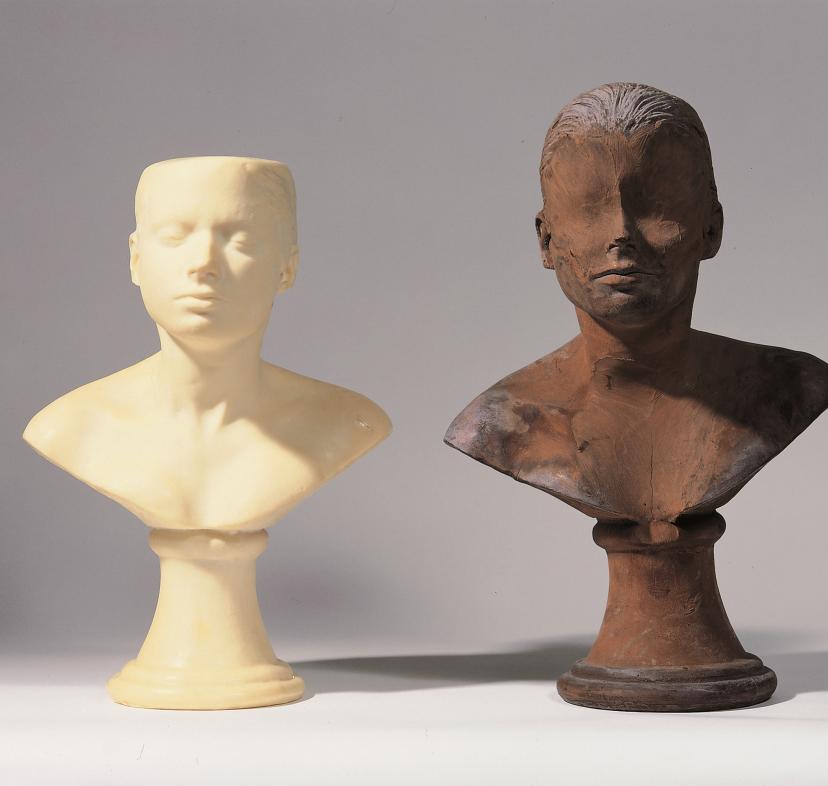 Janine Antoni, Lamer y enjabonar, 1993.